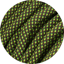 Raupe