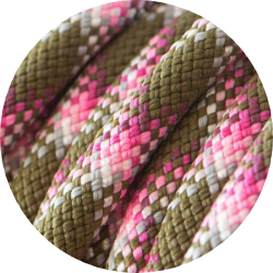 Sweet Snake