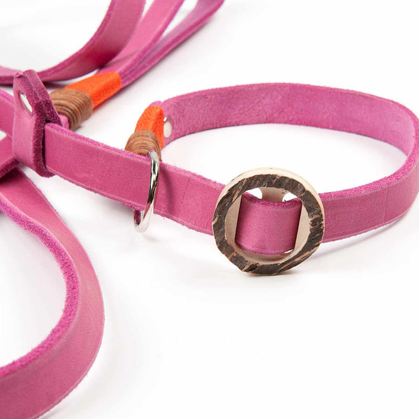 Retrieverleine 20mm Leder - 180cm