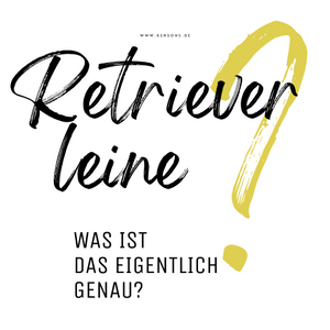 Alle Informationen über die Retrieverleine | Ist eine Retrieverleine sinnvoll?