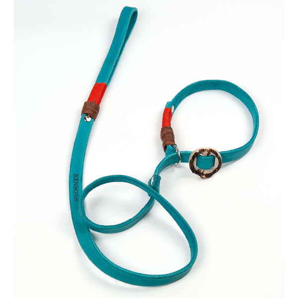 Retrieverleine 20mm Leder - 120cm