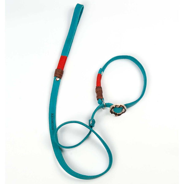 Retrieverleine 20mm Leder - 120cm