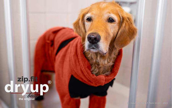 DRYUP BODY® Rost-Rot Hundebademantel mit Rollkragen – trocknet Ohren & Hals deines Hundes für extra Schutz