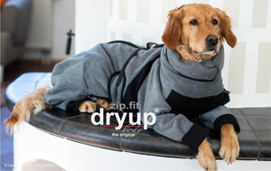 DRYUP BODY® Grau Hundebademantel mit Rollkragen – trocknet Ohren & Hals deines Hundes für extra Schutz
