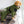 DRYUP BODY® Grün Hundebademantel mit Rollkragen – trocknet Ohren & Hals deines Hundes für extra Schutz