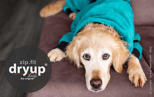 DRYUP BODY® Petrol – praktischer Hundebademantel aus Baumwoll-Frottee für schnelles Trocknen nach Regen oder Schwimmen
