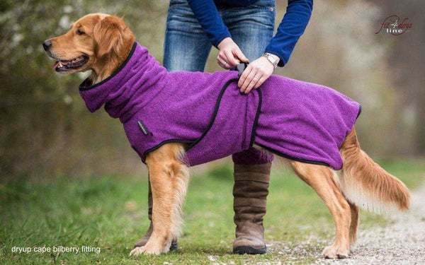 Lilaner DRYUP Cape Bademantel für Hunde aus 100% Baumwoll-Frottee – ideal nach Regen, Schwimmen und Matsch