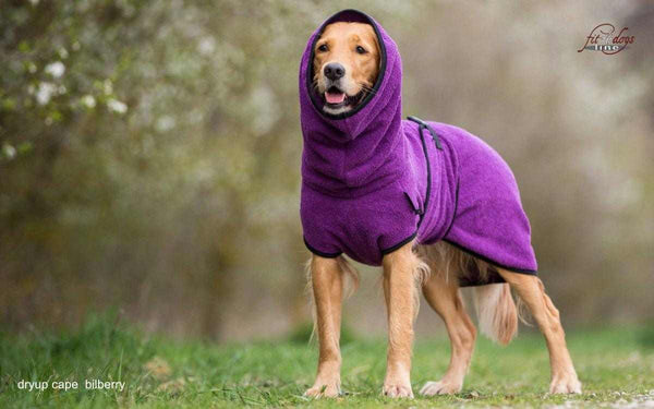 Hunde-Bademantel Lila mit verstellbarem Schnallenverschluss – Praktisch, pflegeleicht und kuschelig warm für deinen Hund