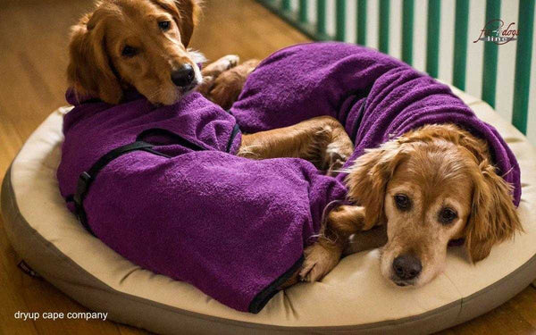 Hundebademantel Lila – Trocknet deinen Hund schnell und schützt vor Schmutz und Erkältungen