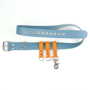 KENSONS WalkBelt Pro – Dogwalker Gürtel aus BioThane für mehrere Hunde –  KENSONS for dogs