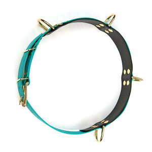 WalkBelt Pro - Dogwalker-Gürtel aus BioThane für mehrere Hunde