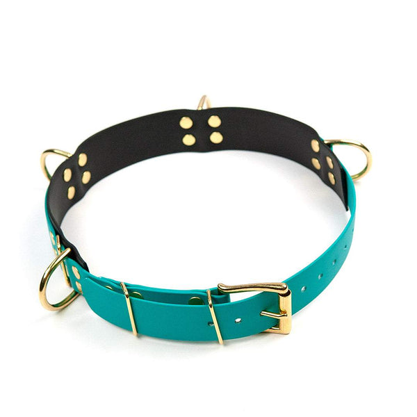 KENSONS WalkBelt Pro - Dogwalker-Gürtel aus BioThane für mehrere Hunde