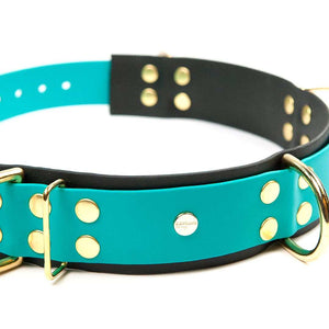 WalkBelt Pro - Dogwalker-Gürtel aus BioThane für mehrere Hunde