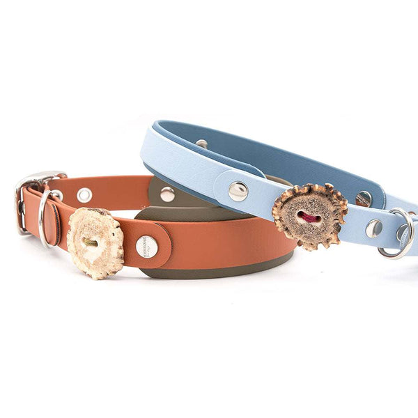 Konfigurierbares Halsband BioThane® Schnalle