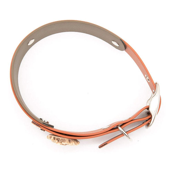 Konfigurierbares Halsband BioThane® Schnalle