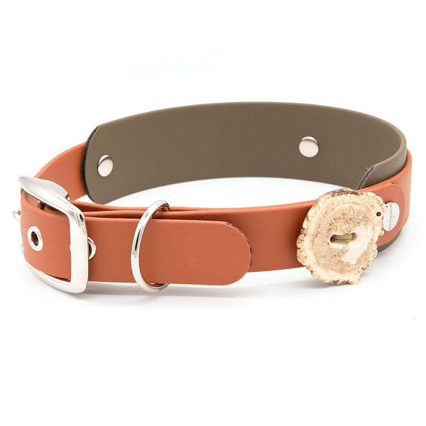 Konfigurierbares Halsband BioThane® Schnalle