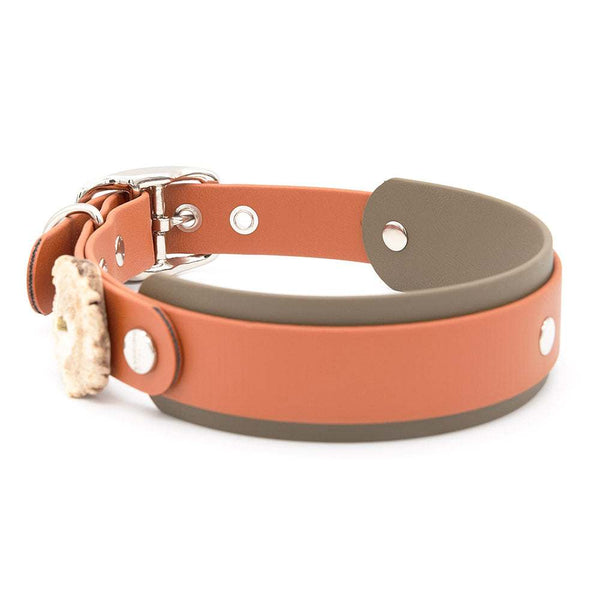 Konfigurierbares Halsband BioThane® Schnalle