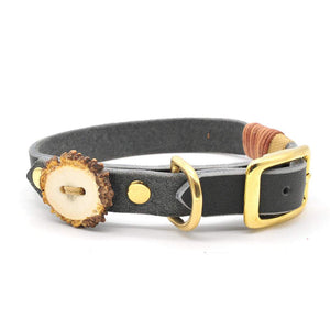 Leder-Hundehalsband – mit Schnalle | Konfigurator