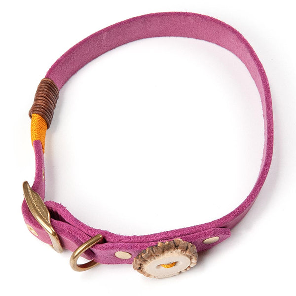 Halsband 20 mm Leder - 46-48-50 cm