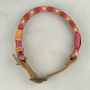 Tau-Hundehalsband mit Schnalle – 10mm | Konfigurator