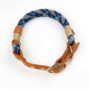 Tau-Hundehalsband mit Schnalle – 10mm | Konfigurator