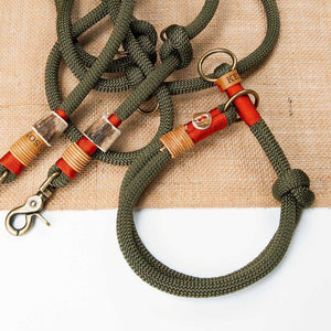 Tau-Hundehalsband mit Zugstopp – doppelt - 10mm | Konfigurator