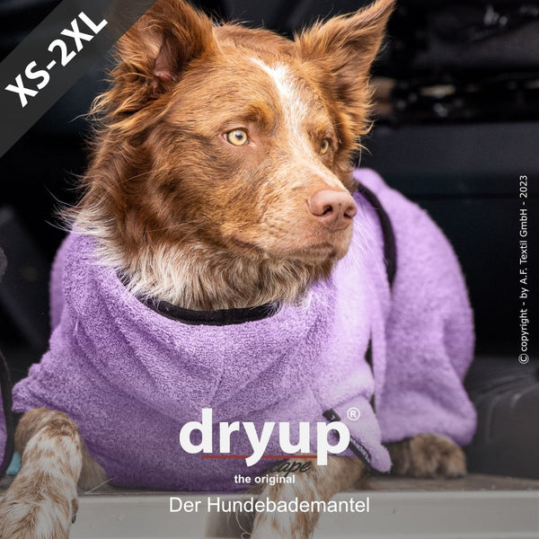 DRYUP CAPE® Hundebademantel Lavendel