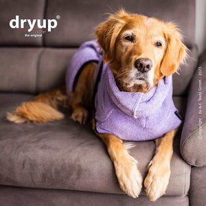 DRYUP CAPE® Hundebademantel Lavendel