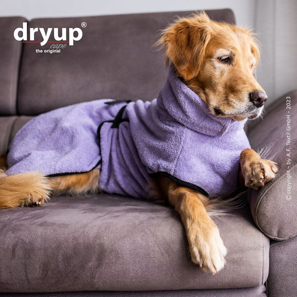 DRYUP CAPE® Hundebademantel Lavendel