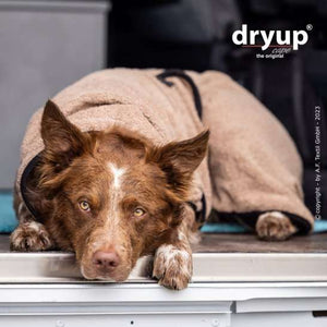Hunde-Bademantel Coffee mit verstellbarem Schnallenverschluss – Praktisch, pflegeleicht und kuschelig warm für deinen Hund