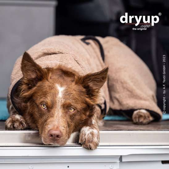Hunde-Bademantel Coffee mit verstellbarem Schnallenverschluss – Praktisch, pflegeleicht und kuschelig warm für deinen Hund