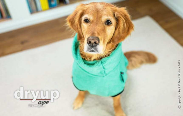 Original DRYUP Cape in Mint – Hundebademantel für drinnen und draußen, perfekt für nasse Abenteuer.