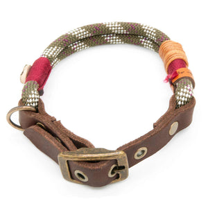 #T-HB-SC-10-HIGHG, Tau Hundehalsband verstellbar mit Lederschnalle – stilvoll, funktional und hochwertig verarbeitet, in Oliv-Grün