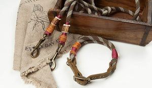 Set: Hundeleine Tau & Halsband mit Schnalle – 10mm | Konfigurator