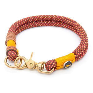 #T-HB-KA-10-GOL, Tau Hundehalsband 10 mm mit Karabiner – fertige Designs, handgemacht in Deutschland