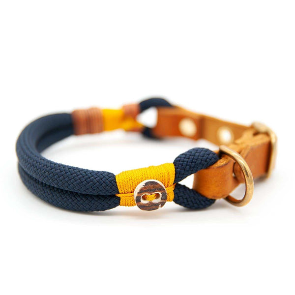 Hochwertiges 10 mm Halsband Midnight Sunburst aus Tau, mit Schnalle verstellbar, einzigartig und perfekt für kleine und große Hunde