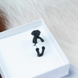 Ring Hund Labrador Schwarz