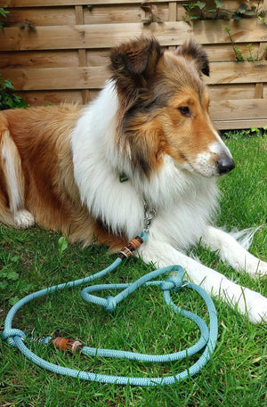 Tau-Hundeleine – verstellbare Führleine, 10mm | Konfigurator