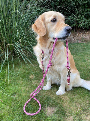 Tau-Hundeleine – verstellbare Führleine, 10mm | Konfigurator