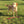 #T-KFS-10-SEN, #T-KFS-10-CUR, #T-KFS-10-PUM, #T-KFS-10-GOL, #T-KFS-10-KUP, #T-KFS-10-LAM, #T-KFS-10-DUS, #T-KFS-10-RED, #T-KFS-10-FIR, #T-KFS-10-RUB, #T-KFS-10-DRA, #T-KFS-10-HAP, #T-KFS-10-#T-KFS-10-BLO, #T-KFS-10-ROS, #T-KFS-10-CHE, #T-KFS-10-HIP, #T-KFS-10-MAG, #T-KFS-10-MAU, #T-KFS-10-POP, #T-KFS-10-MID, #T-KFS-10-SCHOTTBL, #T-KFS-10-HEA, #T-KFS-10-WAS, #T-KFS-10-STE, #T-KFS-10-IND, #T-KFS-10-BAV, #T-KFS-10-PET, #T-KFS-10-OCE, #T-KFS-10-SMA, #T-KFS-10-AQU, #T-KFS-10-MAN, #T-KFS-10-SEE, #T-KFS-10-RAU