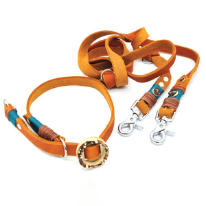 Set: Hundeleine Leder & Zugstopp-Halsband | Konfigurator