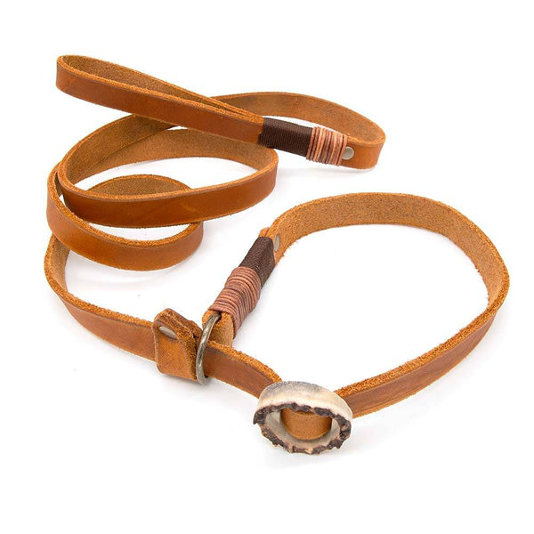 Konfigurierbare Retriever-Leine Leder