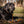 Retrieverleine 8mm Tau - Sporty-Style
