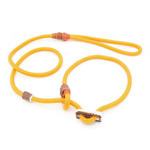 Premium Retrieverleine 6 mm Golden Sunset mit Takling und Hirschhorn-Stopper, handgefertigte Moxon-Leine für Hunde