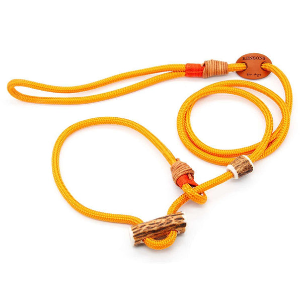 Premium Retrieverleine 6 mm Golden Sunset mit Takling und Hirschhorn-Stopper, handgefertigte Moxon-Leine für Hunde