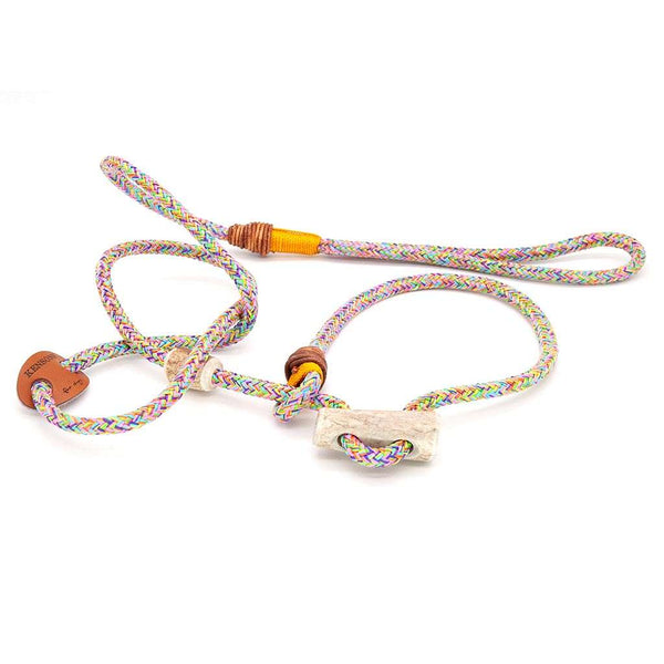 Premium Retrieverleine 6 mm Motley Sunburst mit Takling und Hirschhorn-Stopper, handgefertigte Moxon-Leine für Hunde