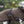 Hund im WARMUP Cape Pro Braun – Ideal nach Regen oder Training, mit Rollkragen und verstellbarem Schnallenverschluss