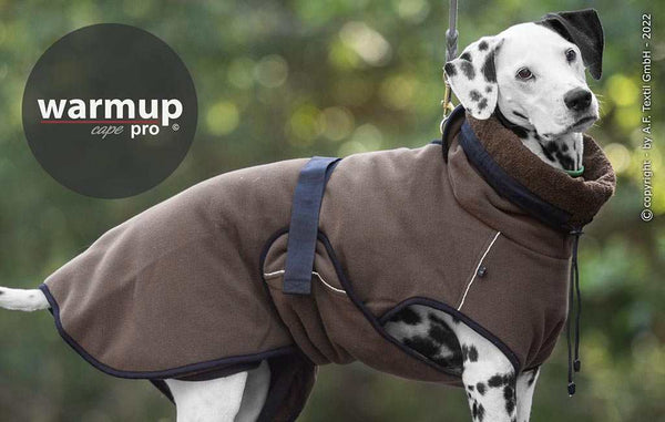 Hund im WARMUP Cape Pro Braun – Ideal nach Regen oder Training, mit Rollkragen und verstellbarem Schnallenverschluss
