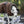 Trockencape WARMUP Cape Pro – Perfekt für nasse Abenteuer, Training und kühle ausen mit deinem Hund.