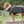 WARMUP CAPE PRO® | Farbe: MOCCA / DUNKELBRAUN - KENSONS for dogs